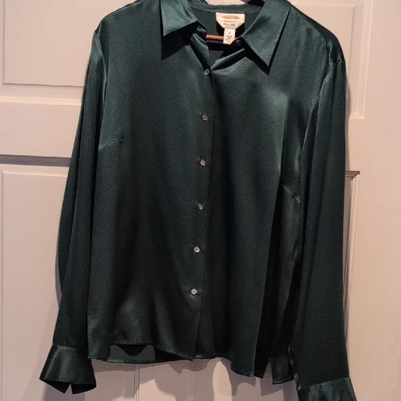 Talbots Deep Green Pure Silk Button-Down Shirt - Picture 6 of 10